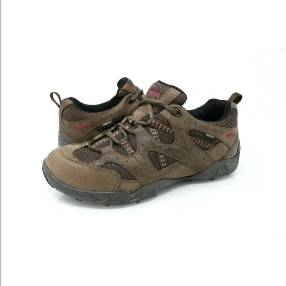 ecco receptor brown